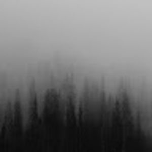 Meet your Posher, Cheng-lin